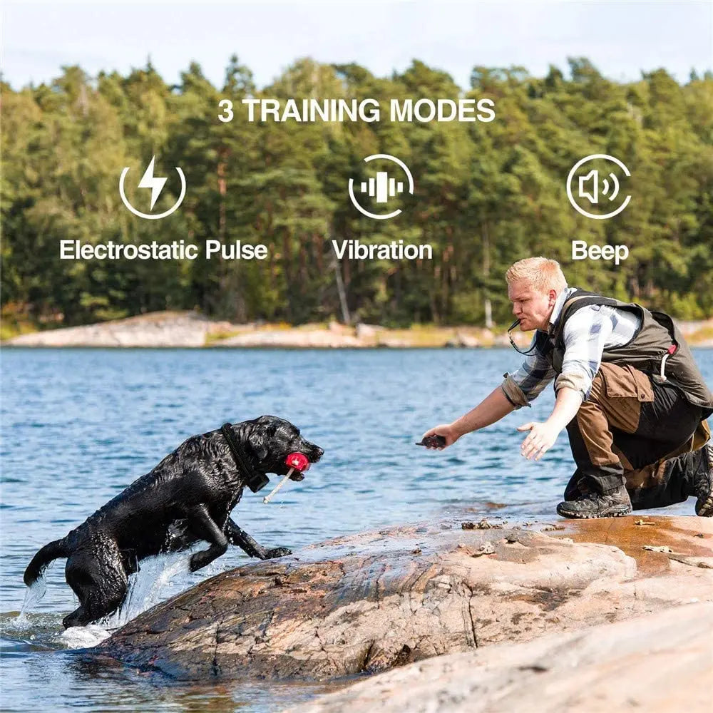 2 In 1 Pet Dog Training Collar & Automatic Anti Bark