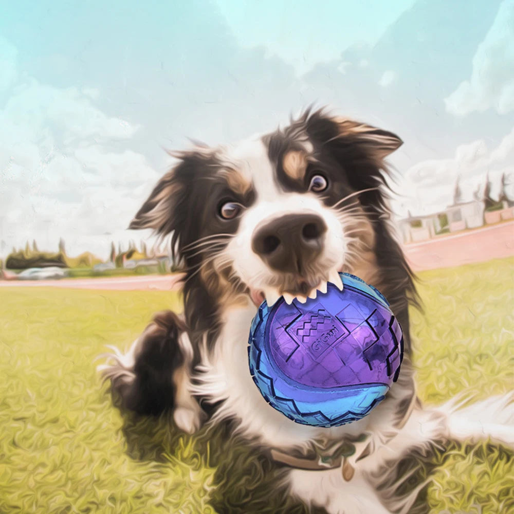 Squeaky Ball Puppy Chew Toy