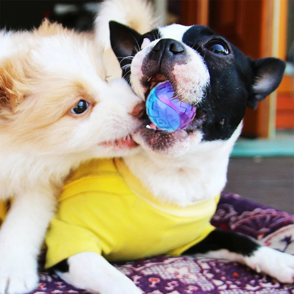 Squeaky Ball Puppy Chew Toy
