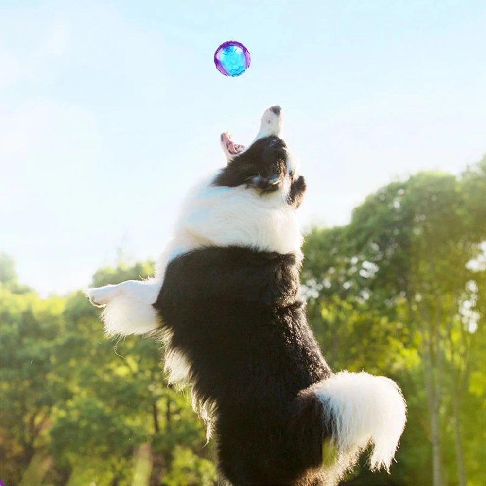 Squeaky Ball Puppy Chew Toy