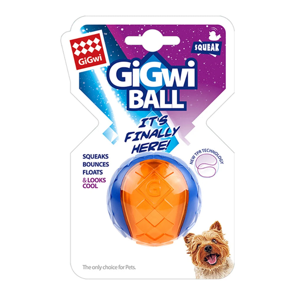 Squeaky Ball Puppy Chew Toy