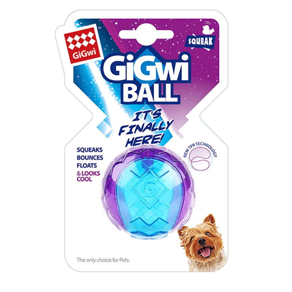 Squeaky Ball Puppy Chew Toy