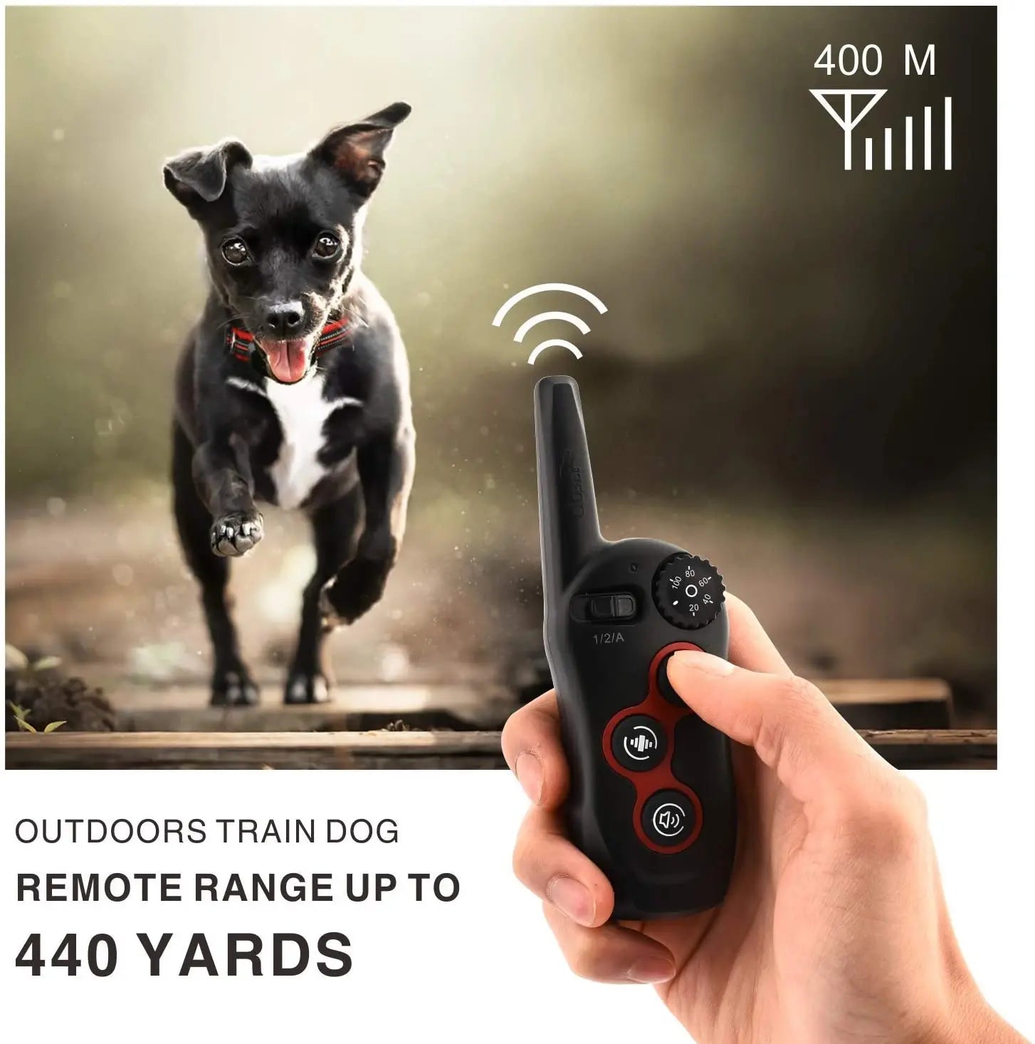 2 In 1 Pet Dog Training Collar & Automatic Anti Bark