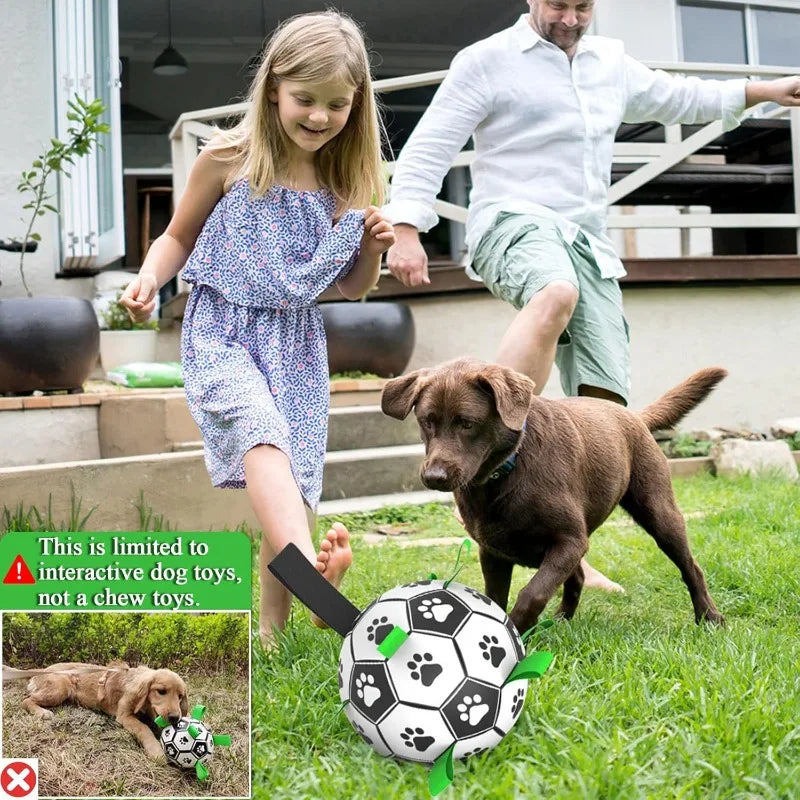 Interactive Soccer Ball Dog Toy