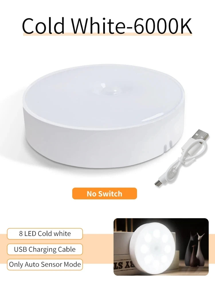 Smart Motion Sensor Light