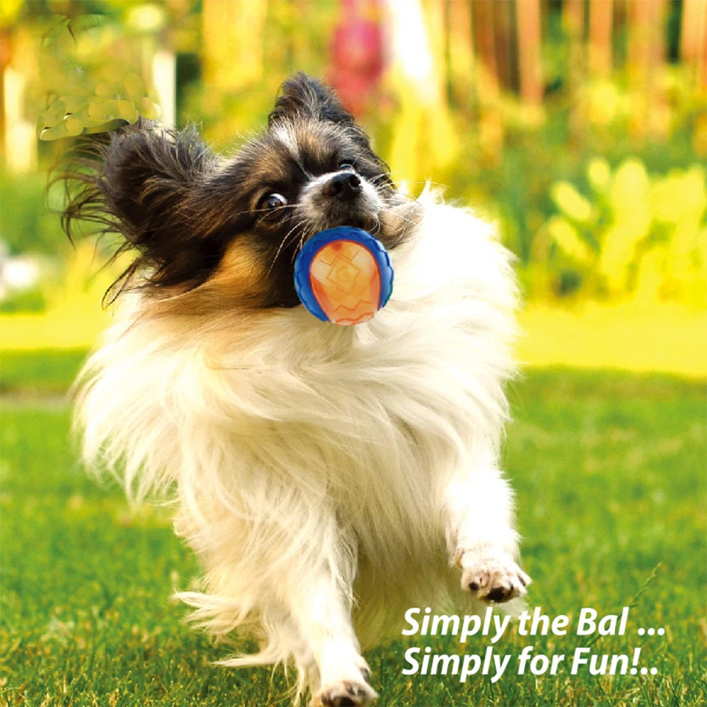 Squeaky Ball Puppy Chew Toy