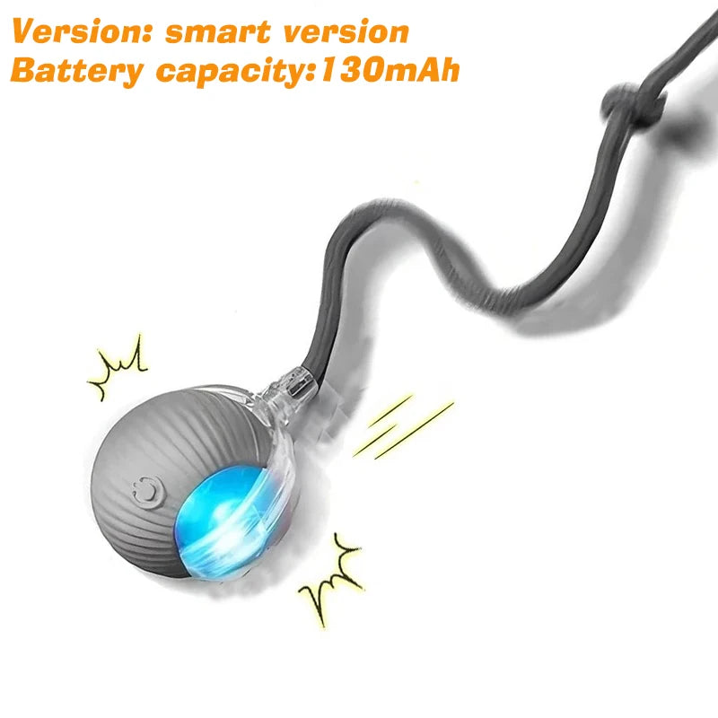 Dog Interactive Ball Toy
