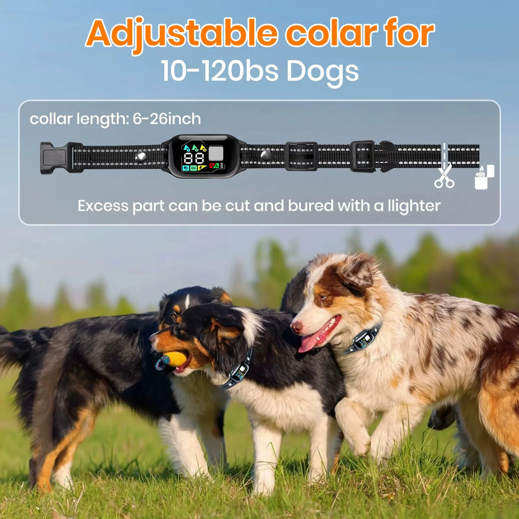 AI Electric Collar for 10-120lbs Dogs