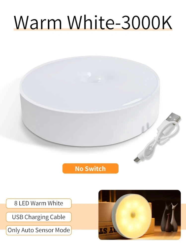 Smart Motion Sensor Light