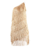 Women's One Shoulder Tassel Dress