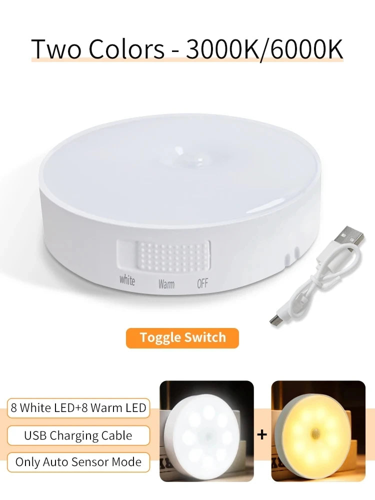 Smart Motion Sensor Light