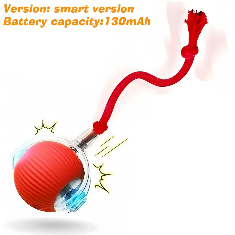 Dog Interactive Ball Toy