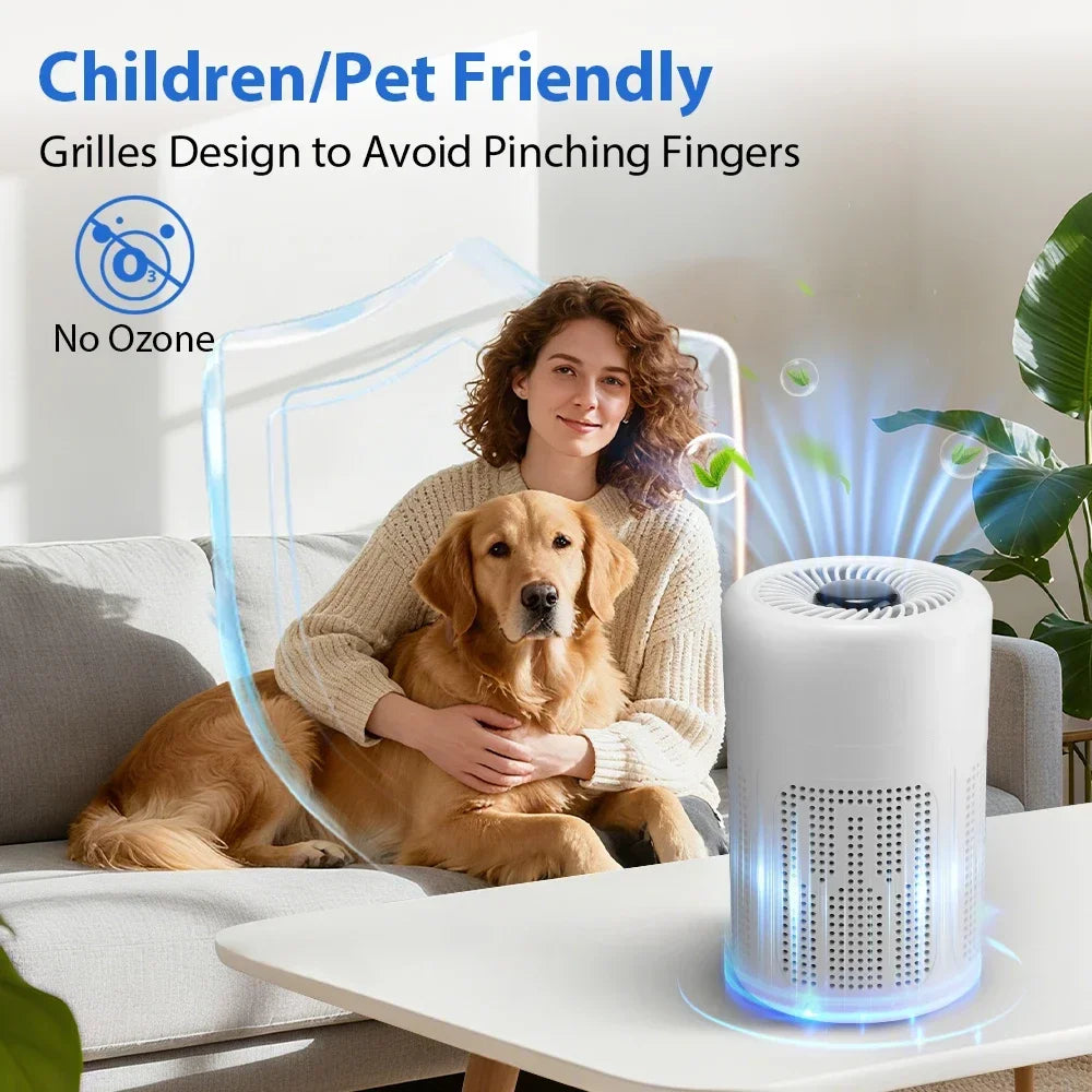 Air Purifier HEPA Filter Efficient Purifying Air