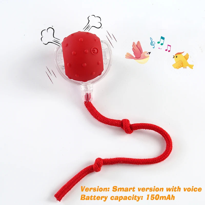 Dog Interactive Ball Toy