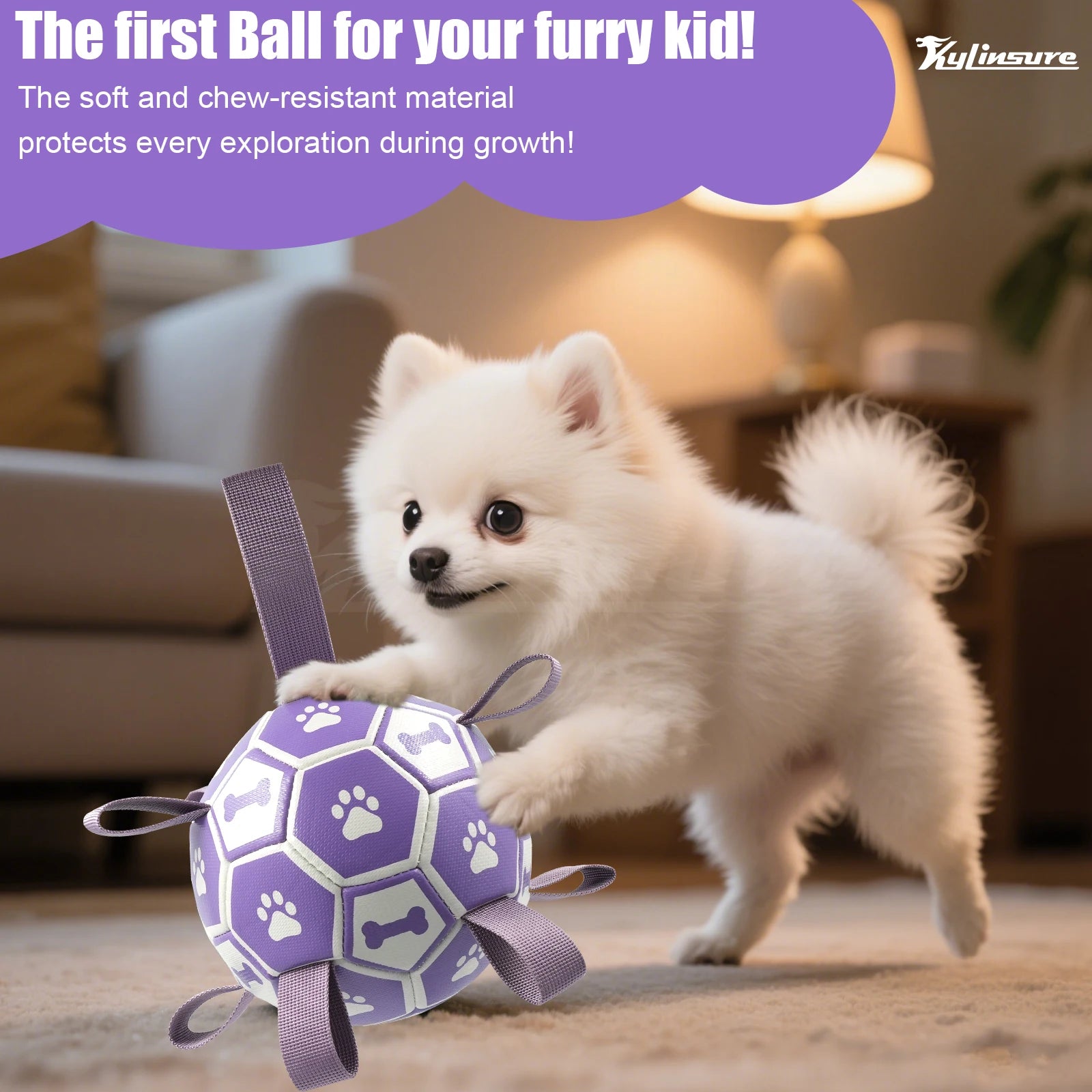 Interactive Dog Toys for Tug of War