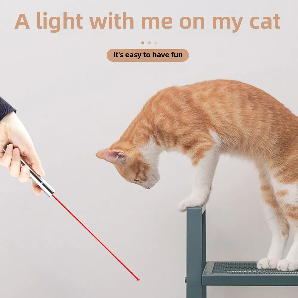 Interactive Cat Laser Toy