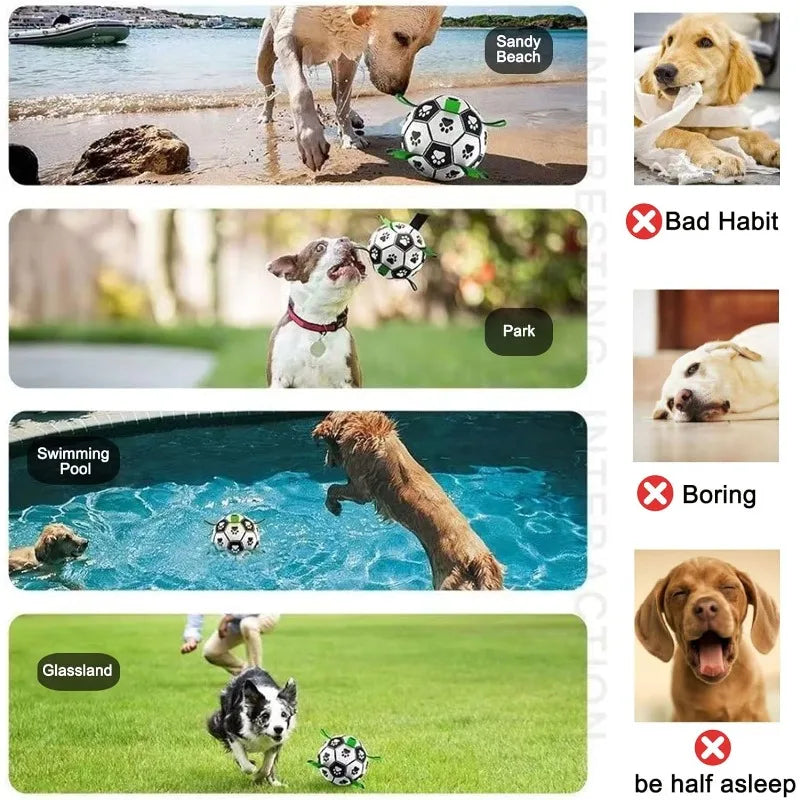 Interactive Soccer Ball Dog Toy
