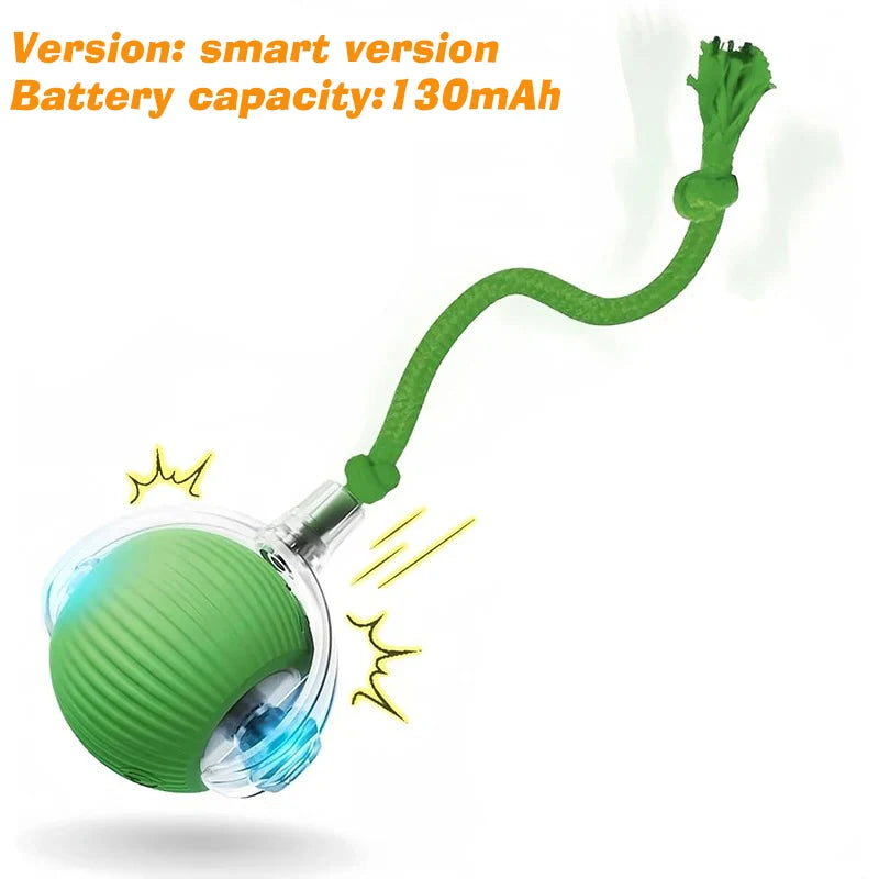 Dog Interactive Ball Toy