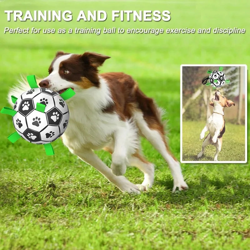 Interactive Soccer Ball Dog Toy