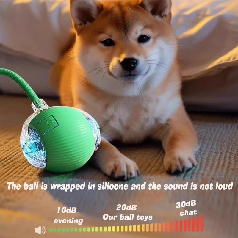 Dog Interactive Ball Toy