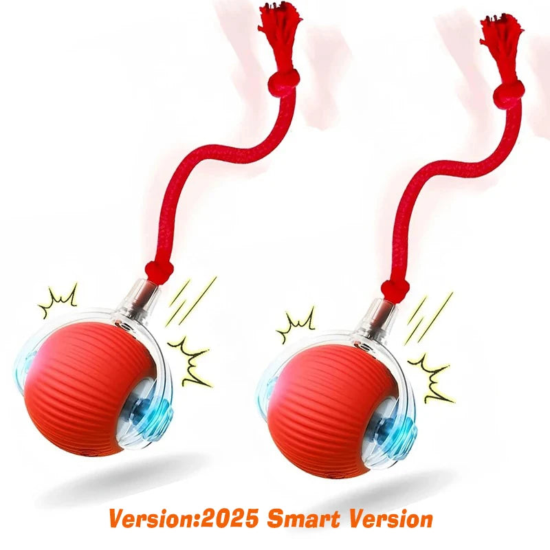 Dog Interactive Ball Toy